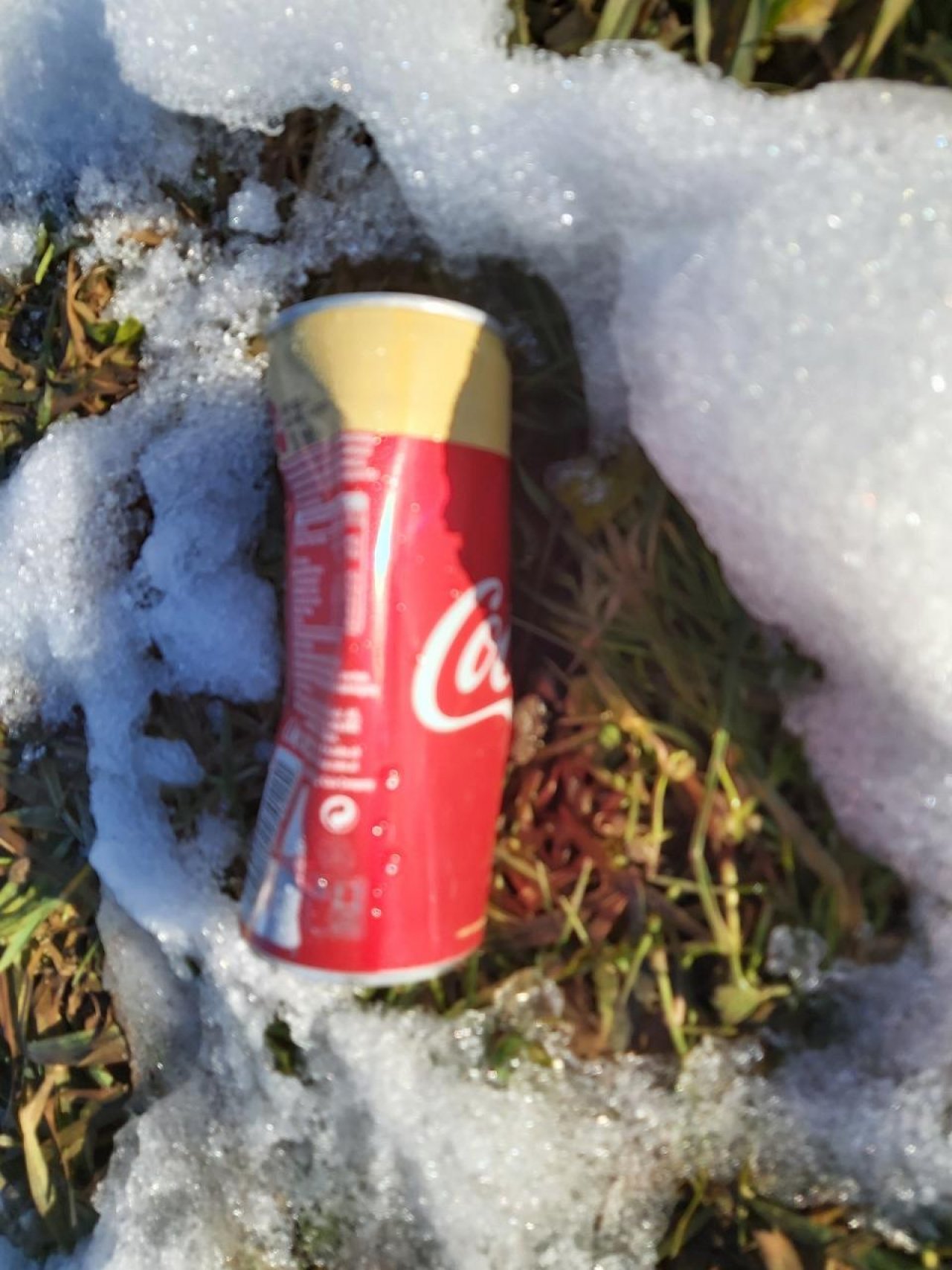 litter in DRECKSPOTZ | GLOBAL 2000 App spotted by Harald MARK on 16.12.2020