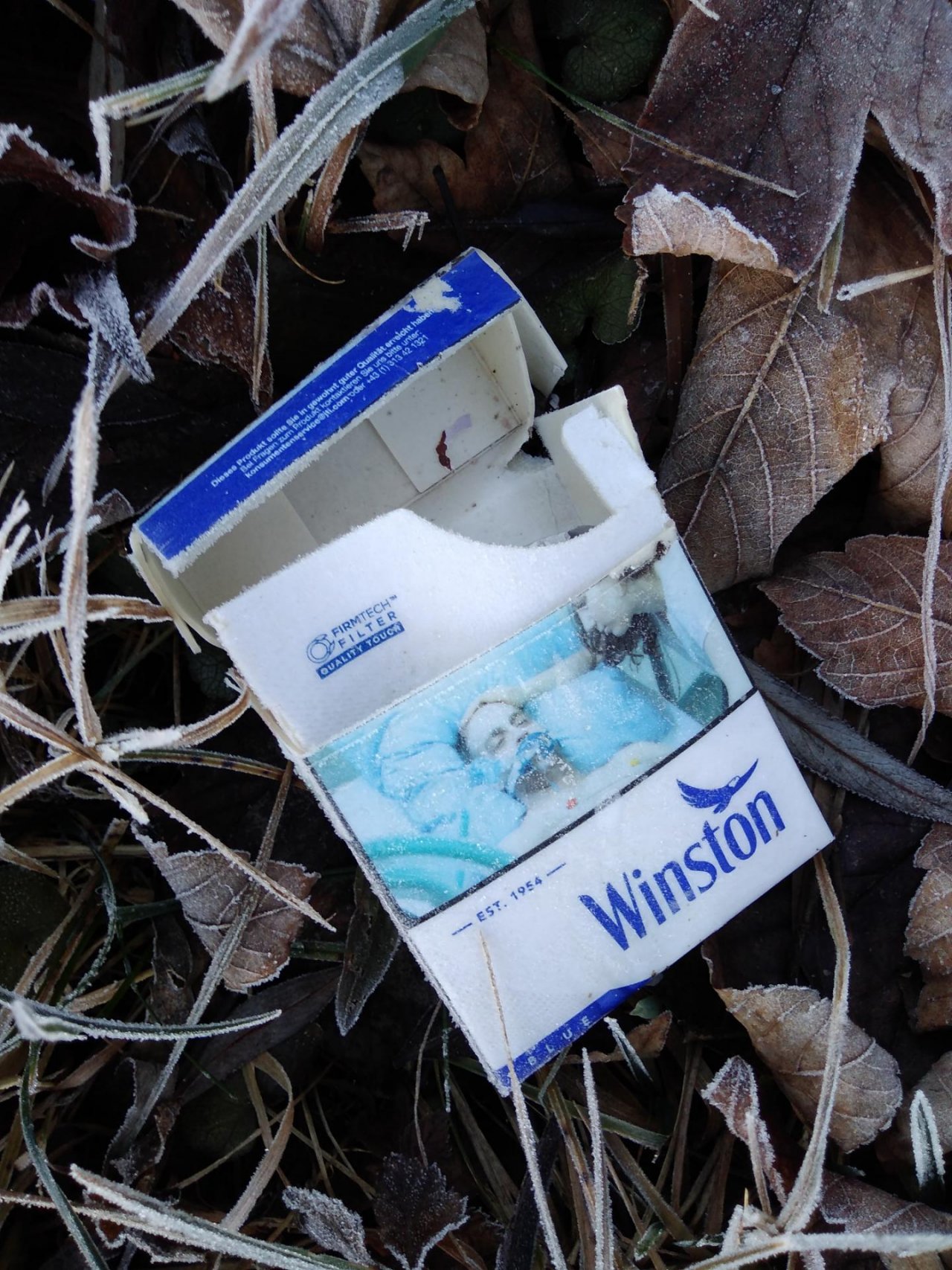 litter in DRECKSPOTZ | GLOBAL 2000 App spotted by Roland Bliem on 20.12.2020