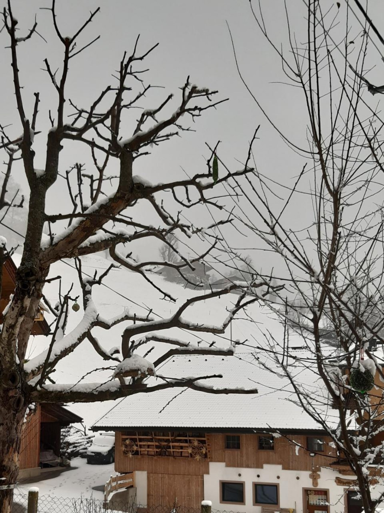 Geschlossene Schneedecke bis ins Tal, aber durch den Nebel kein Foto möglich 