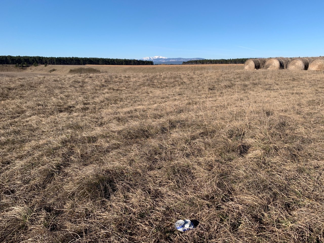 litter in DRECKSPOTZ | GLOBAL 2000 App spotted by Anna Graf on 07.03.2021