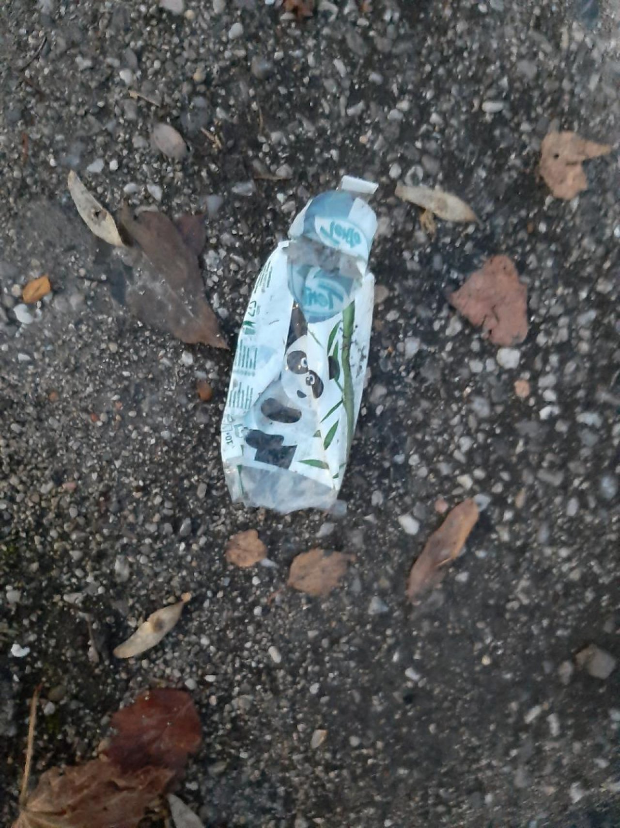 litter in DRECKSPOTZ | GLOBAL 2000 App spotted by Gudrun H. on 14.12.2020
