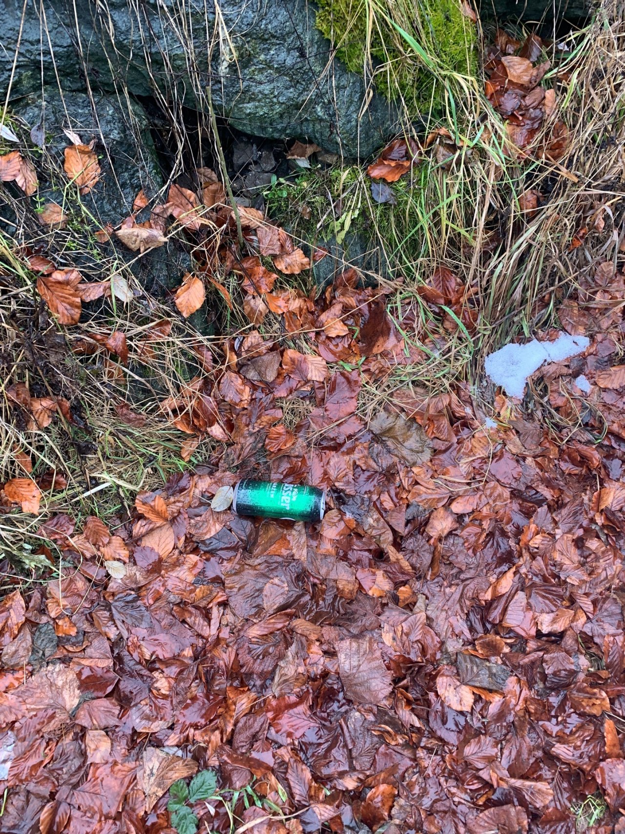 litter in DRECKSPOTZ | GLOBAL 2000 App spotted by Anna Graf on 24.12.2020