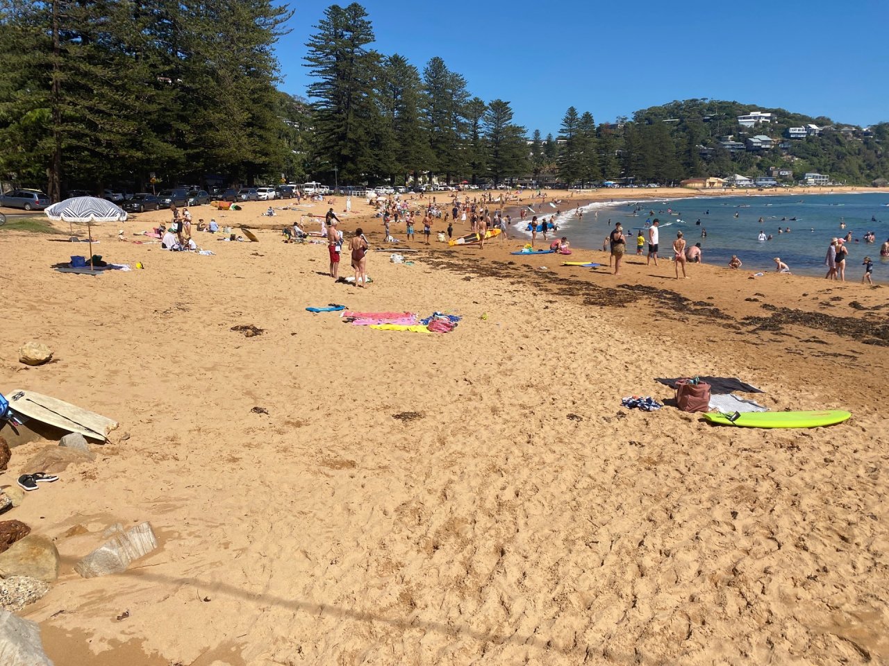 Free Roaming in CoastSnap App spotted by JennyJ on 27.12.2020