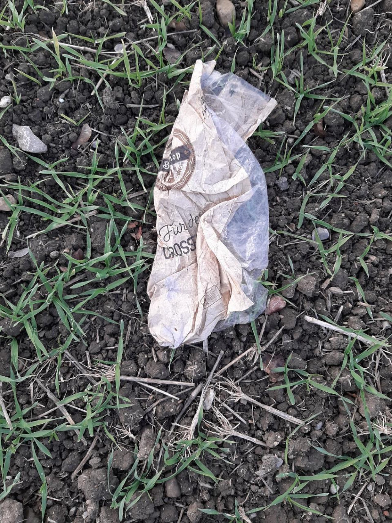 litter in DRECKSPOTZ | GLOBAL 2000 App spotted by Gudrun H. on 15.12.2020