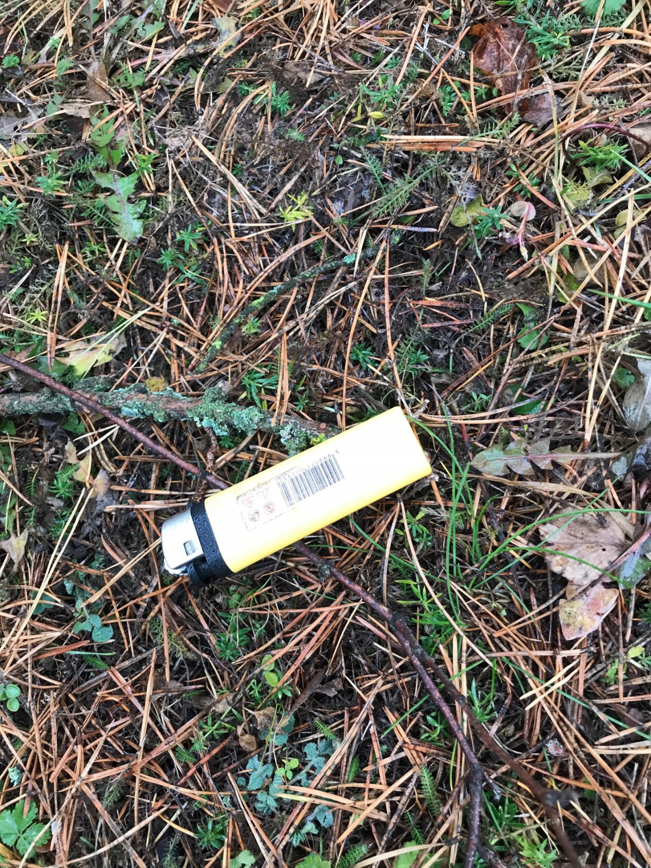 litter in DRECKSPOTZ | GLOBAL 2000 App spotted by Gabriele Kriz on 18.12.2020