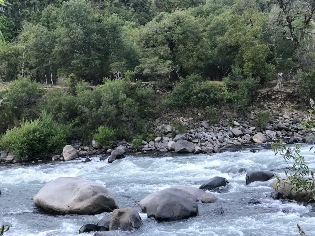 virtual scale in CrowdWater App spotted by Camila Bañales-Seguel on 14.12.2020