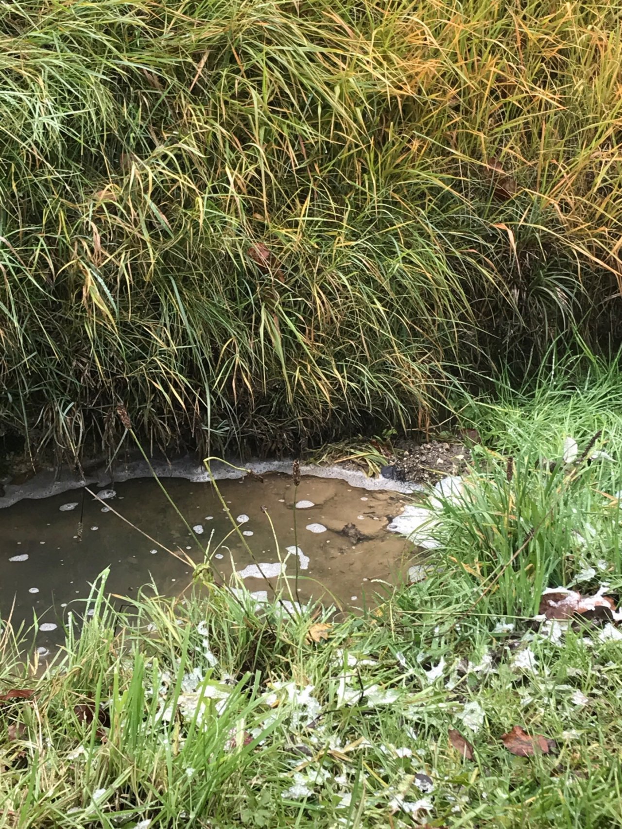 virtual scale in CrowdWater App spotted by TrishaBharath on 07.12.2020