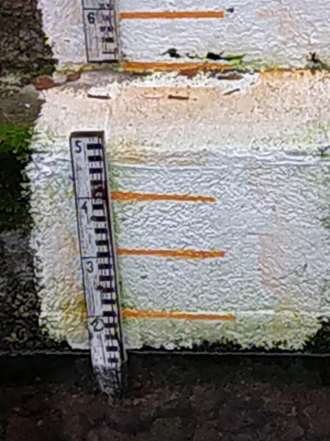 physical scale in CrowdWater App spotted by NoahatArk on 13.12.2020