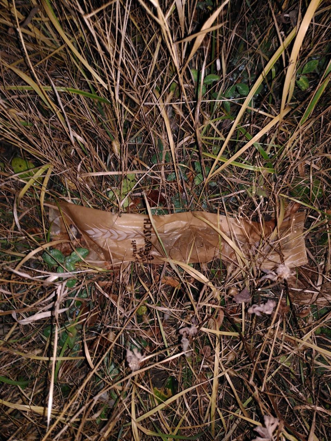 litter in DRECKSPOTZ | GLOBAL 2000 App spotted by TheOSWR on 16.12.2020