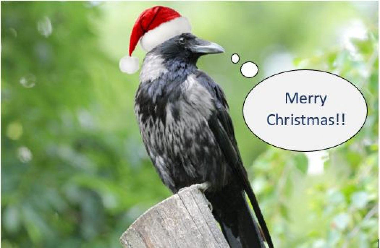 Hybrid (Carrion / Hooded) in KraMobil App spotted by Paul von KraMobil on 24.12.2020