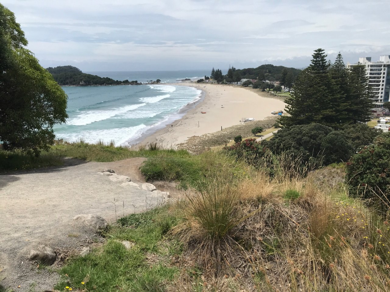 Free Roaming in CoastSnap App spotted by Tom FitzGerald on 23.12.2020