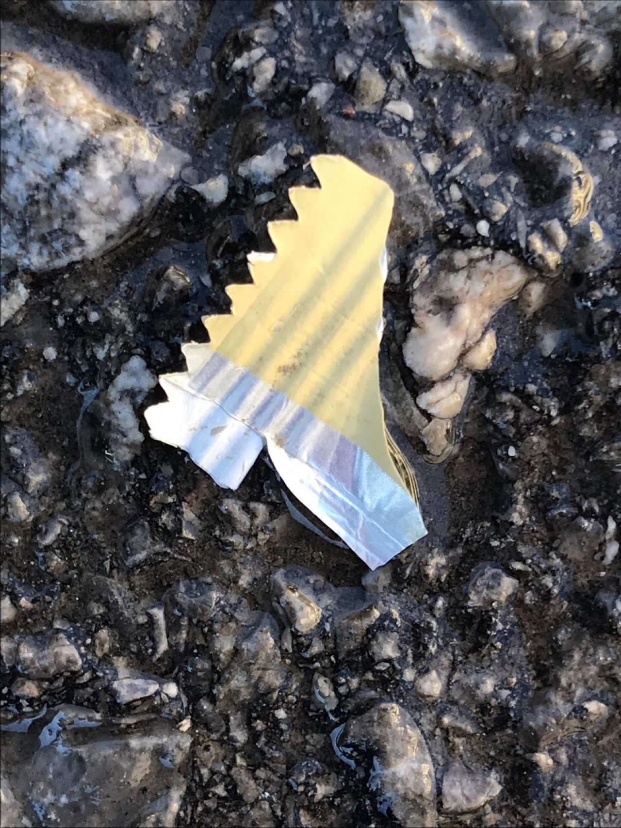 litter in DRECKSPOTZ | GLOBAL 2000 App spotted by Baumi21 on 19.12.2020