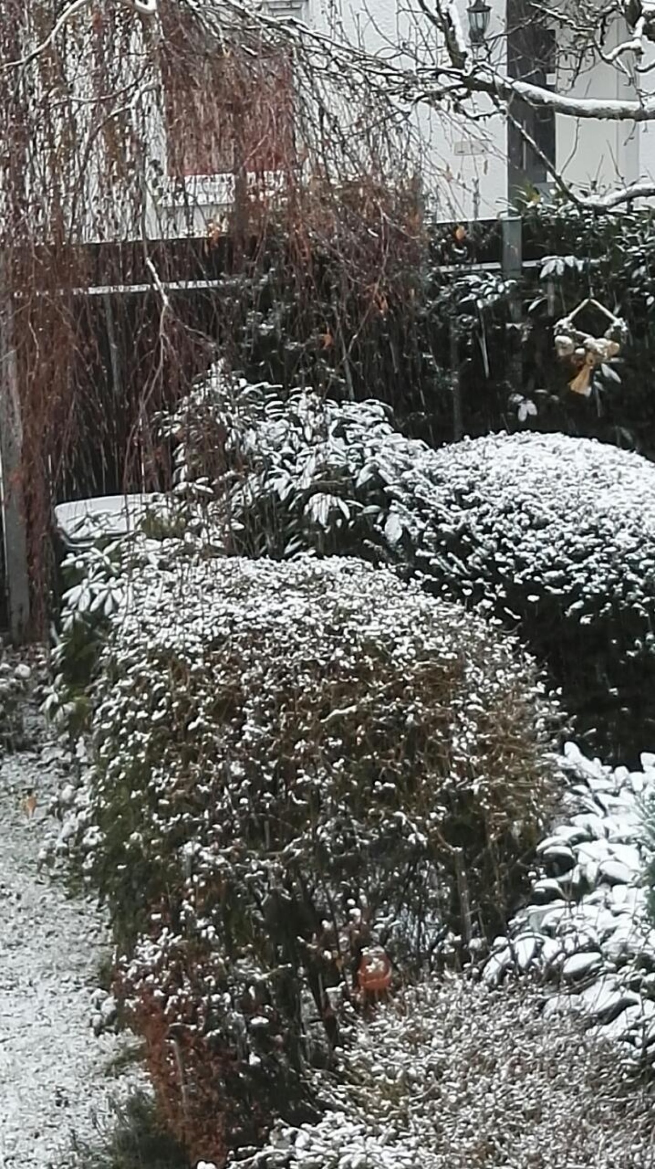 Es schneit seit 4 Stunden. Auf der Wiese bleibt der Schnee liegen, 