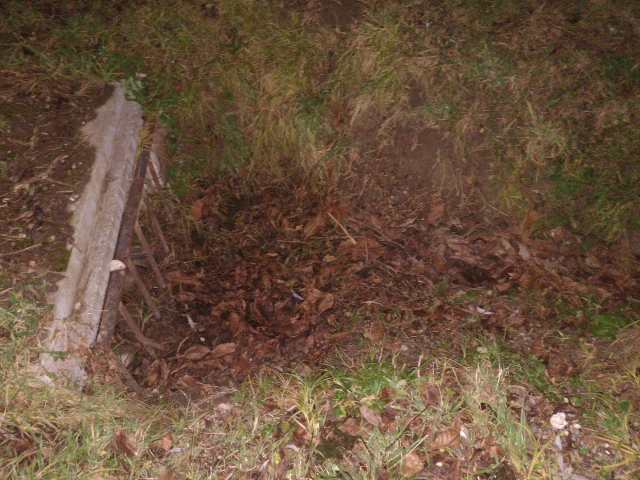 temporary stream in CrowdWater App spotted by TheOSWR on 11.12.2020