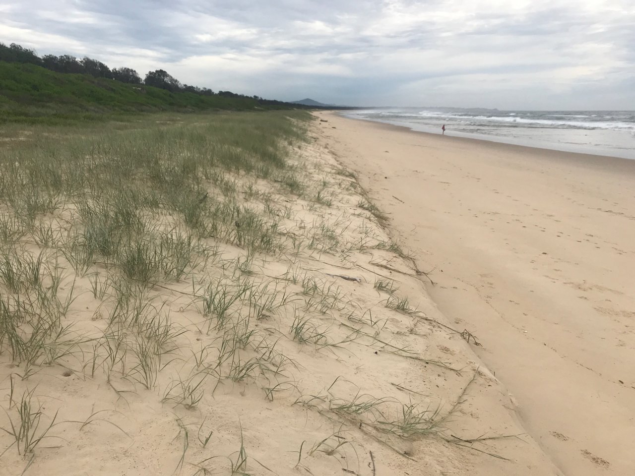 Free Roaming in CoastSnap App spotted by Trilobite on 08.03.2021