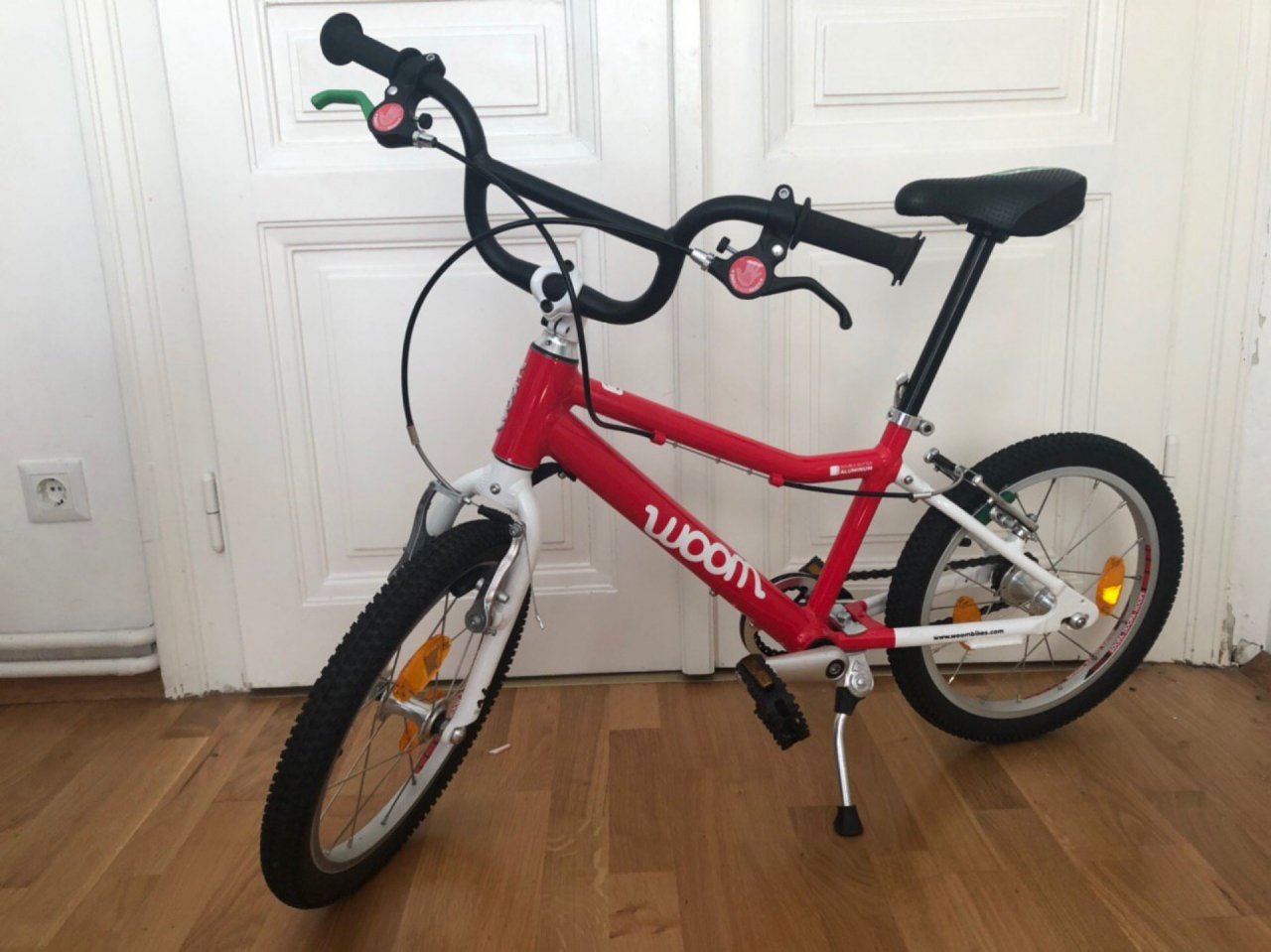 Plants in NatureSpots App spotted by Noah Explorer on 01.02.2021