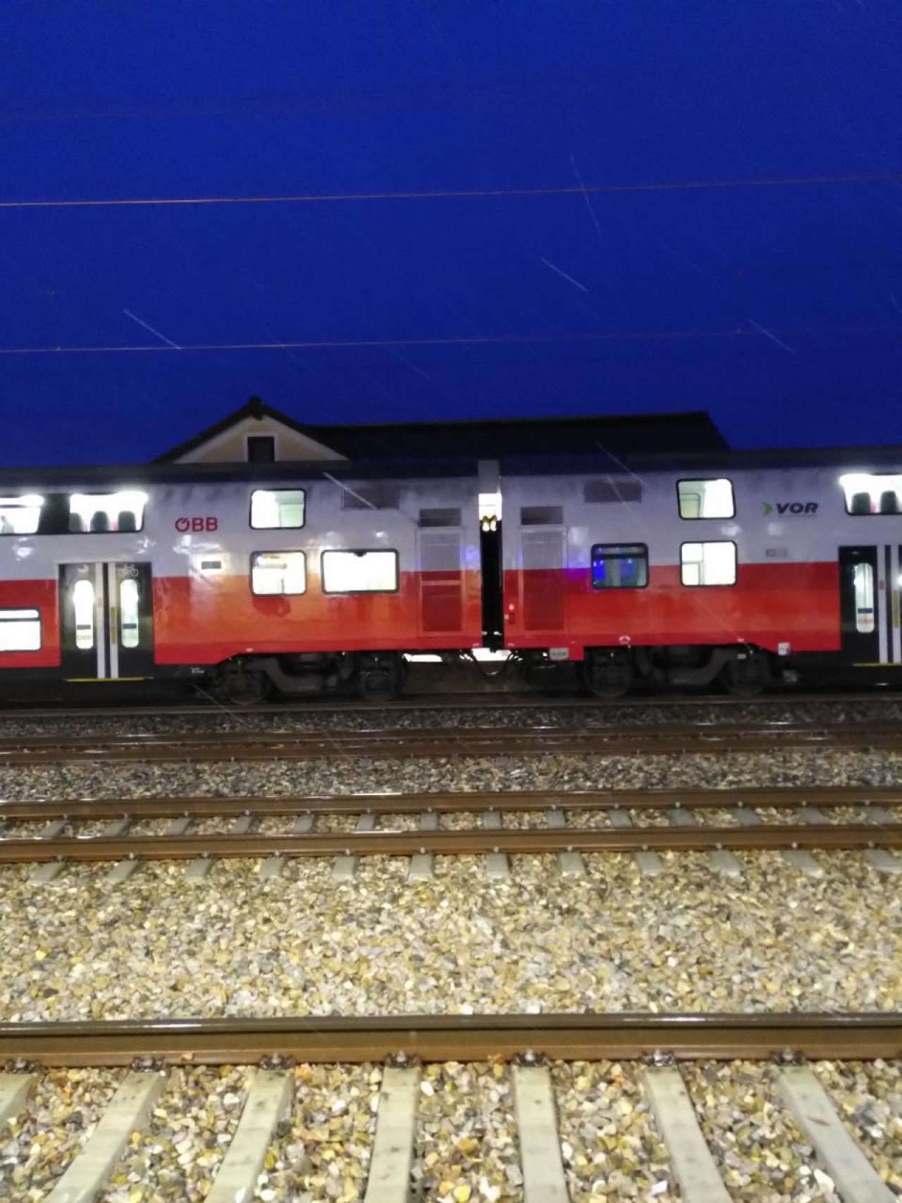 Schneeregen, bleibt leider nicht liegen | Naturkalender App | 10.12.2020