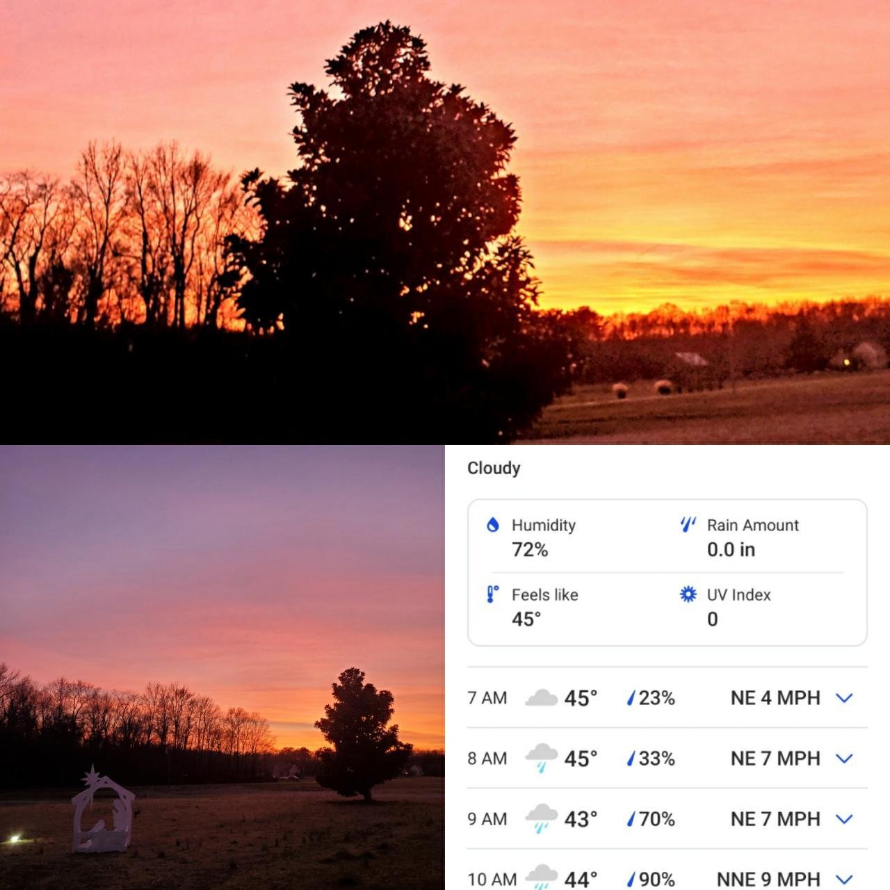 Weather in Coastal Observer App spotted by Jennifer Boland on 15.12.2020