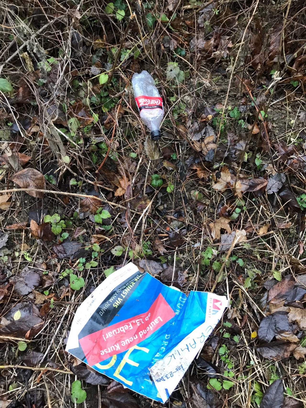 litter in DRECKSPOTZ | GLOBAL 2000 App spotted by Gabriele Kriz on 20.12.2020