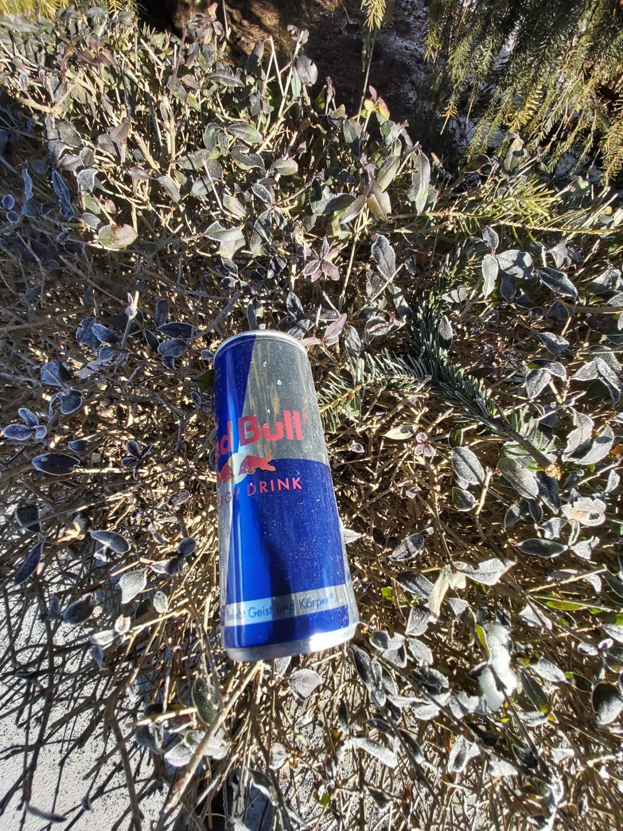 litter in DRECKSPOTZ | GLOBAL 2000 App spotted by Harald MARK on 12.01.2021
