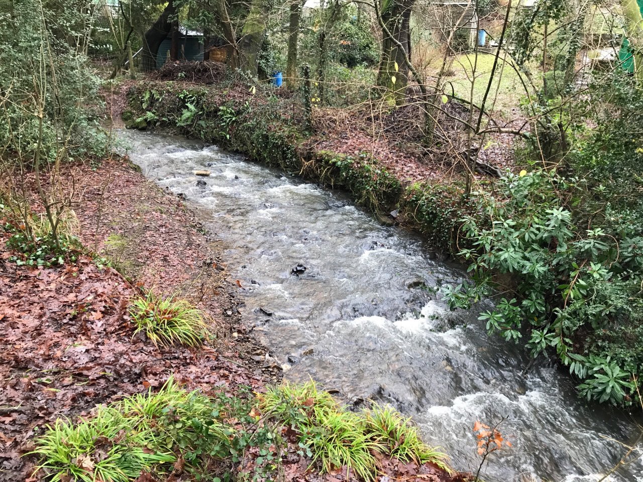 temporary stream in CrowdWater App spotted by Frances Attwood on 22.12.2020