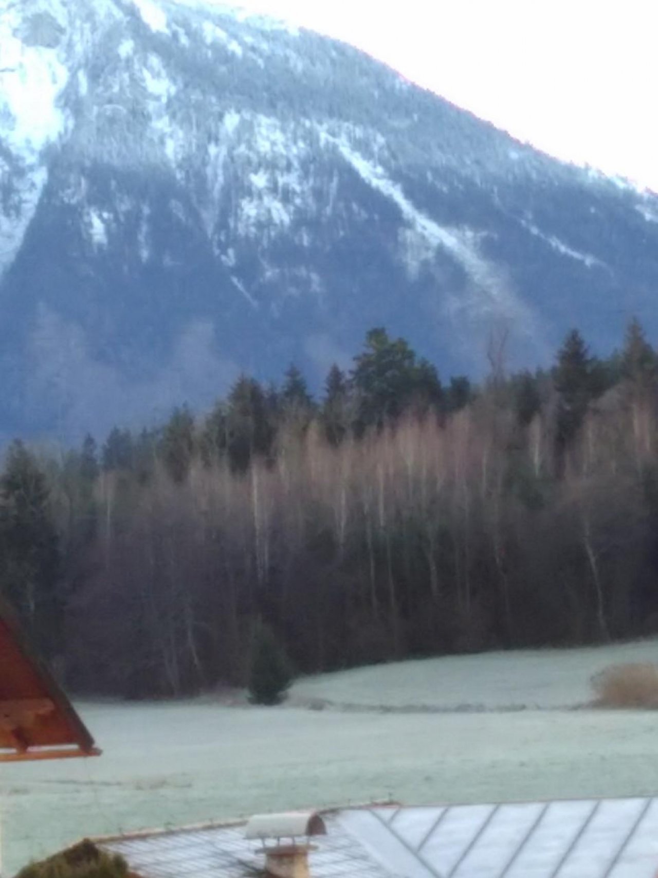 Bodenfrost in Naturkalender App spotted by Doris Stampfer on 14.12.2020