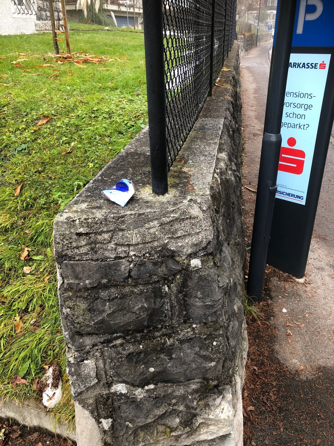 litter in DRECKSPOTZ | GLOBAL 2000 App spotted by Christian Ganahl on 20.12.2020