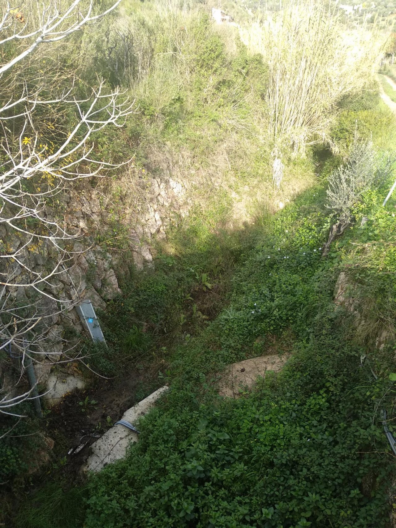 temporary stream in CrowdWater App spotted by Josep Fortesa on 18.12.2020