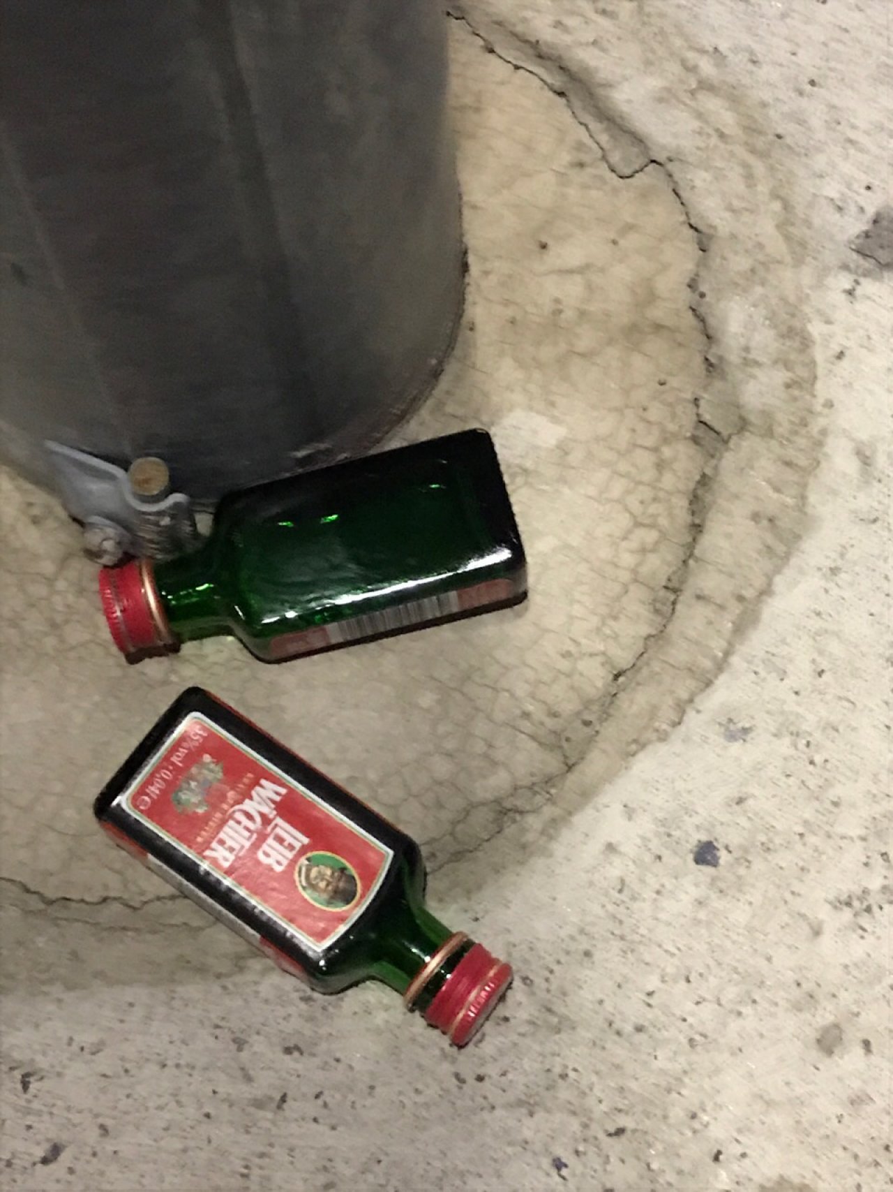 litter in DRECKSPOTZ | GLOBAL 2000 App spotted by Gabriele Kriz on 15.12.2020