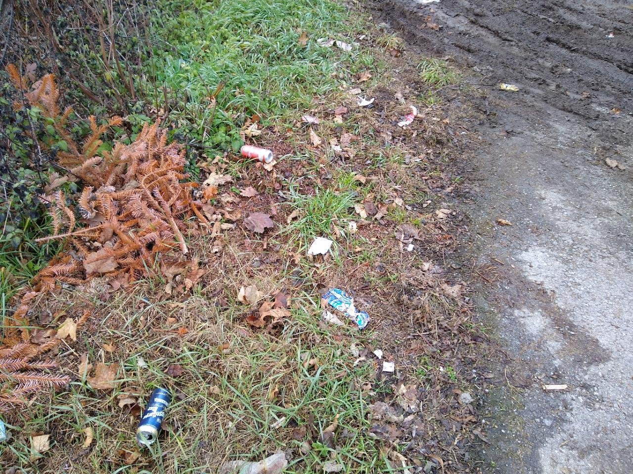 litter in DRECKSPOTZ | GLOBAL 2000 App spotted by Hannes Rammler on 15.12.2020