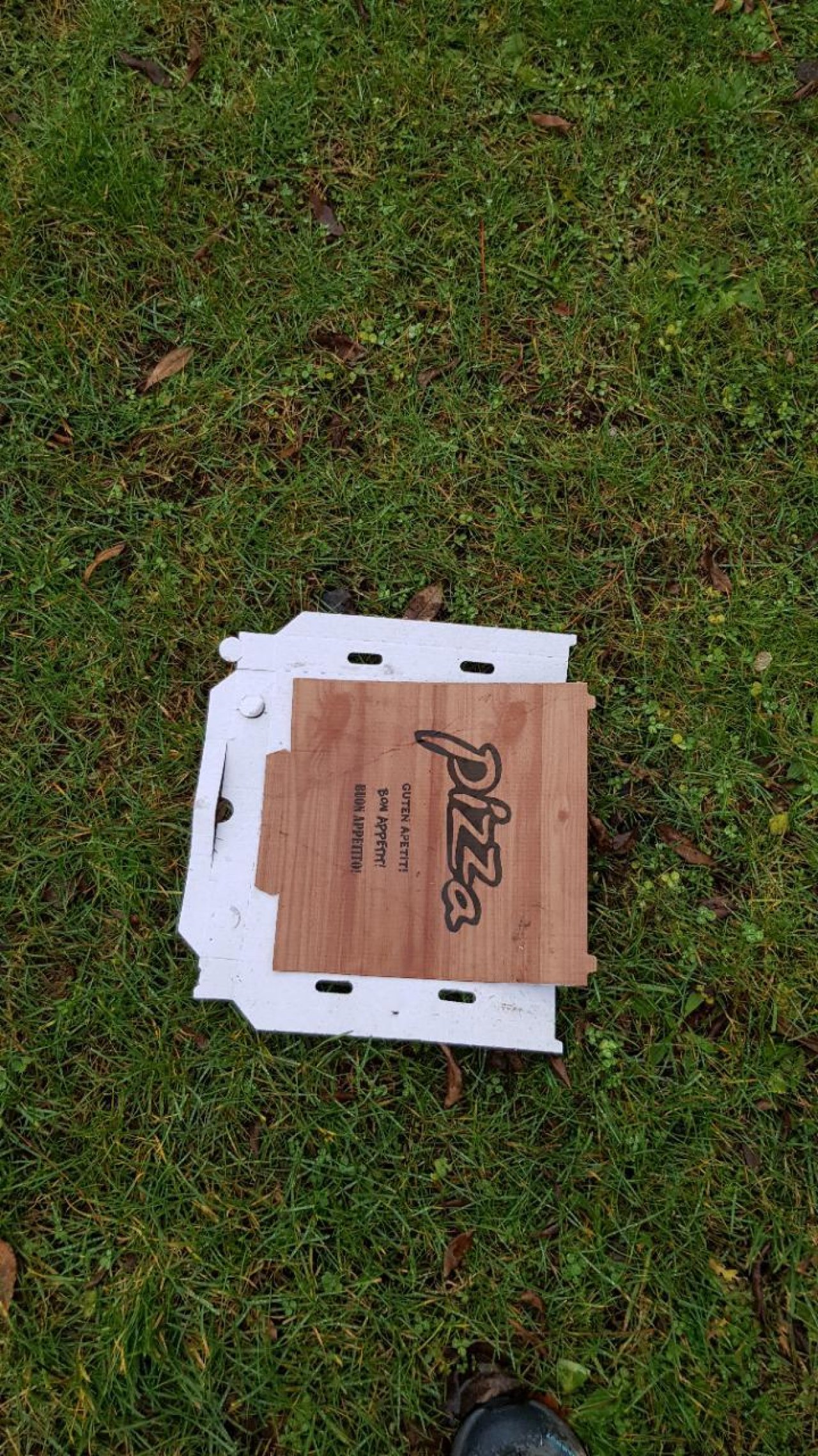 litter in DRECKSPOTZ | GLOBAL 2000 App spotted by Sommerphlox on 16.12.2020