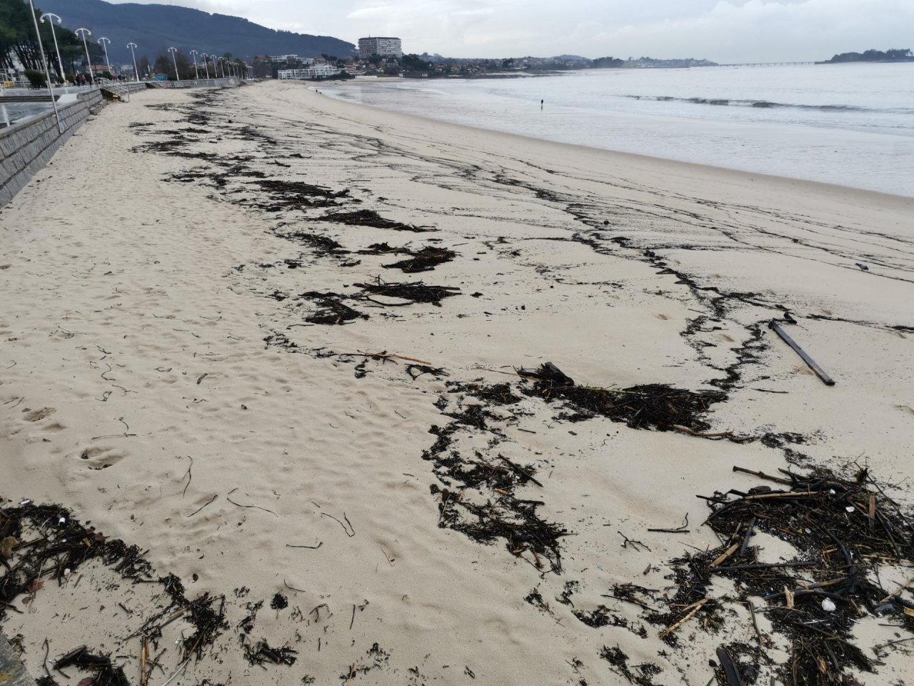 Free Roaming in CoastSnap App spotted by Irene Alejo on 16.12.2020