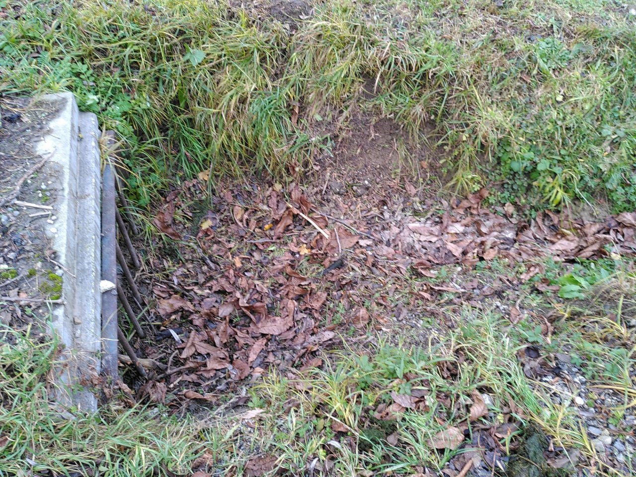 temporary stream in CrowdWater App spotted by TheOSWR on 12.12.2020