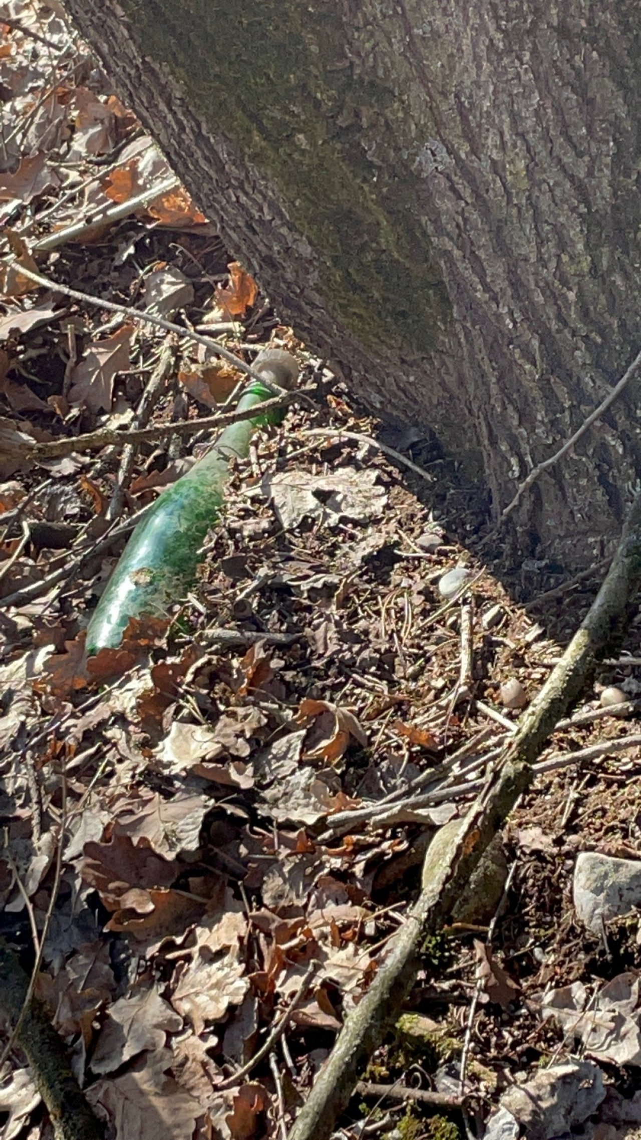 litter in DRECKSPOTZ | GLOBAL 2000 App spotted by Mittelschule Bleiburg, 3a on 18.02.2021