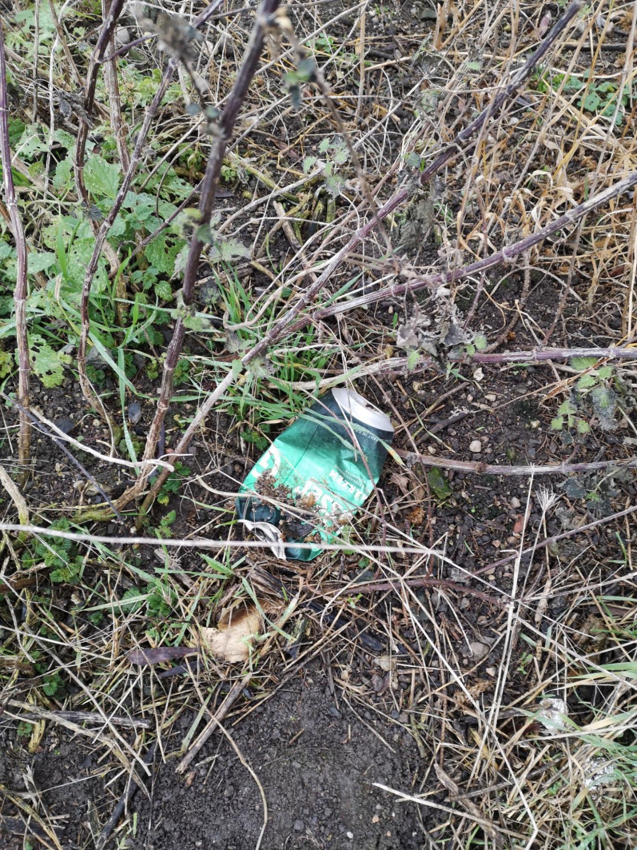 litter in DRECKSPOTZ | GLOBAL 2000 App spotted by Dosimeter on 22.12.2020