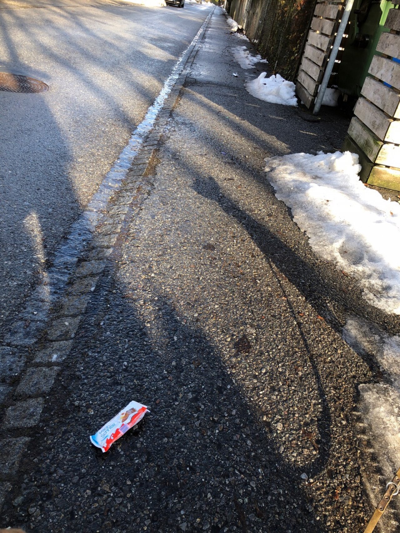litter in DRECKSPOTZ | GLOBAL 2000 App spotted by Christian Ganahl on 13.12.2020
