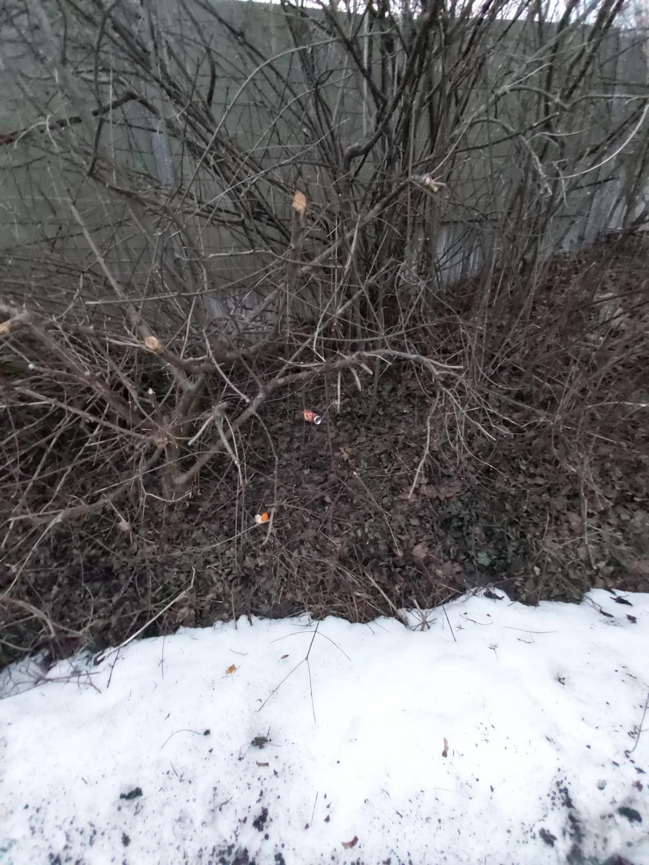 litter in DRECKSPOTZ | GLOBAL 2000 App spotted by Harald MARK on 04.02.2021