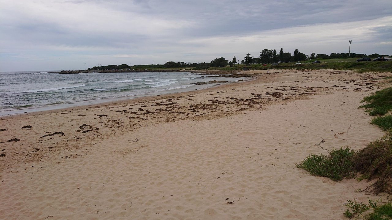 Free Roaming in CoastSnap App spotted by Peter French on 08.03.2021