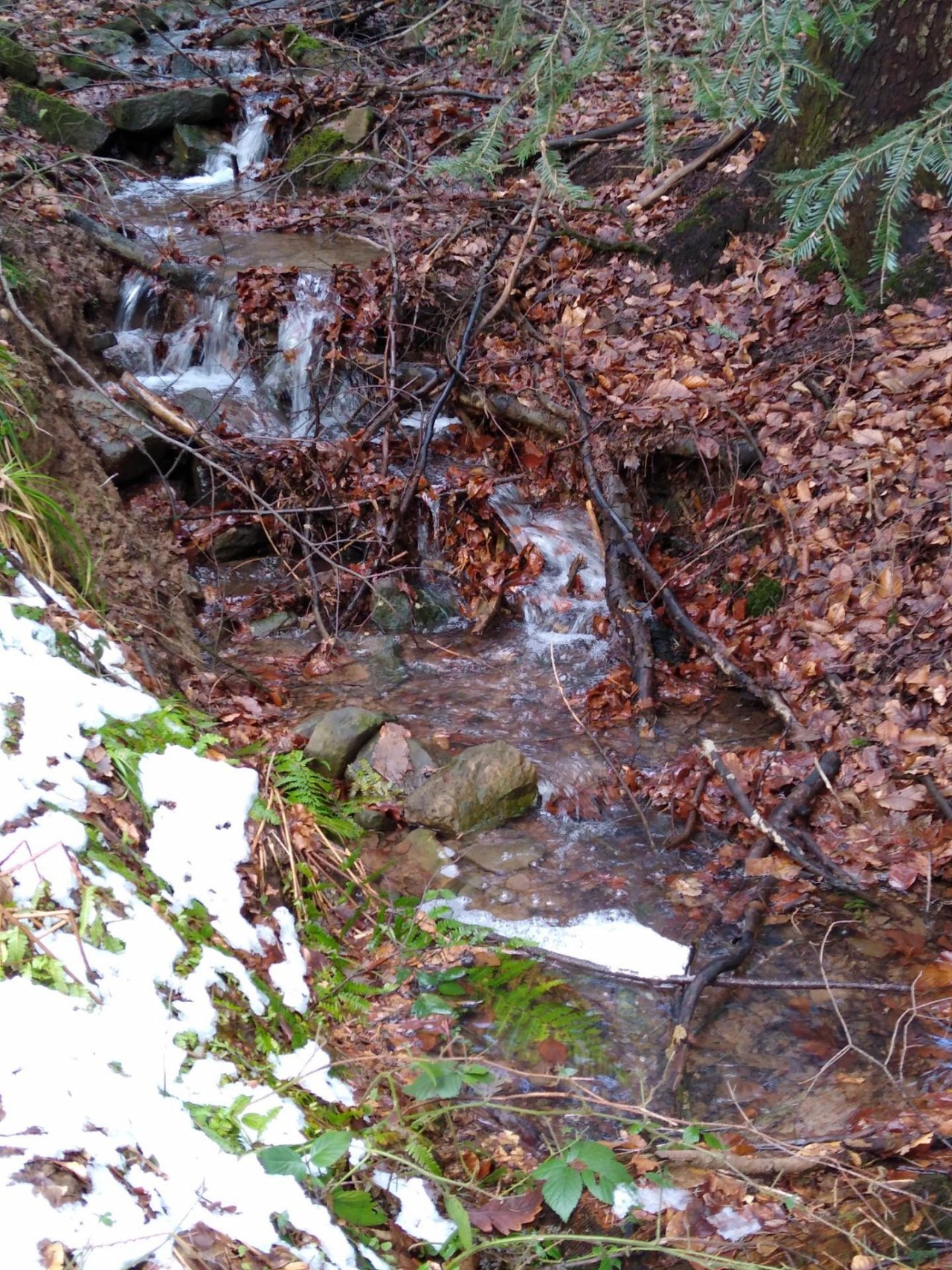 stream type in CrowdWater App spotted by rmth53 on 24.01.2021