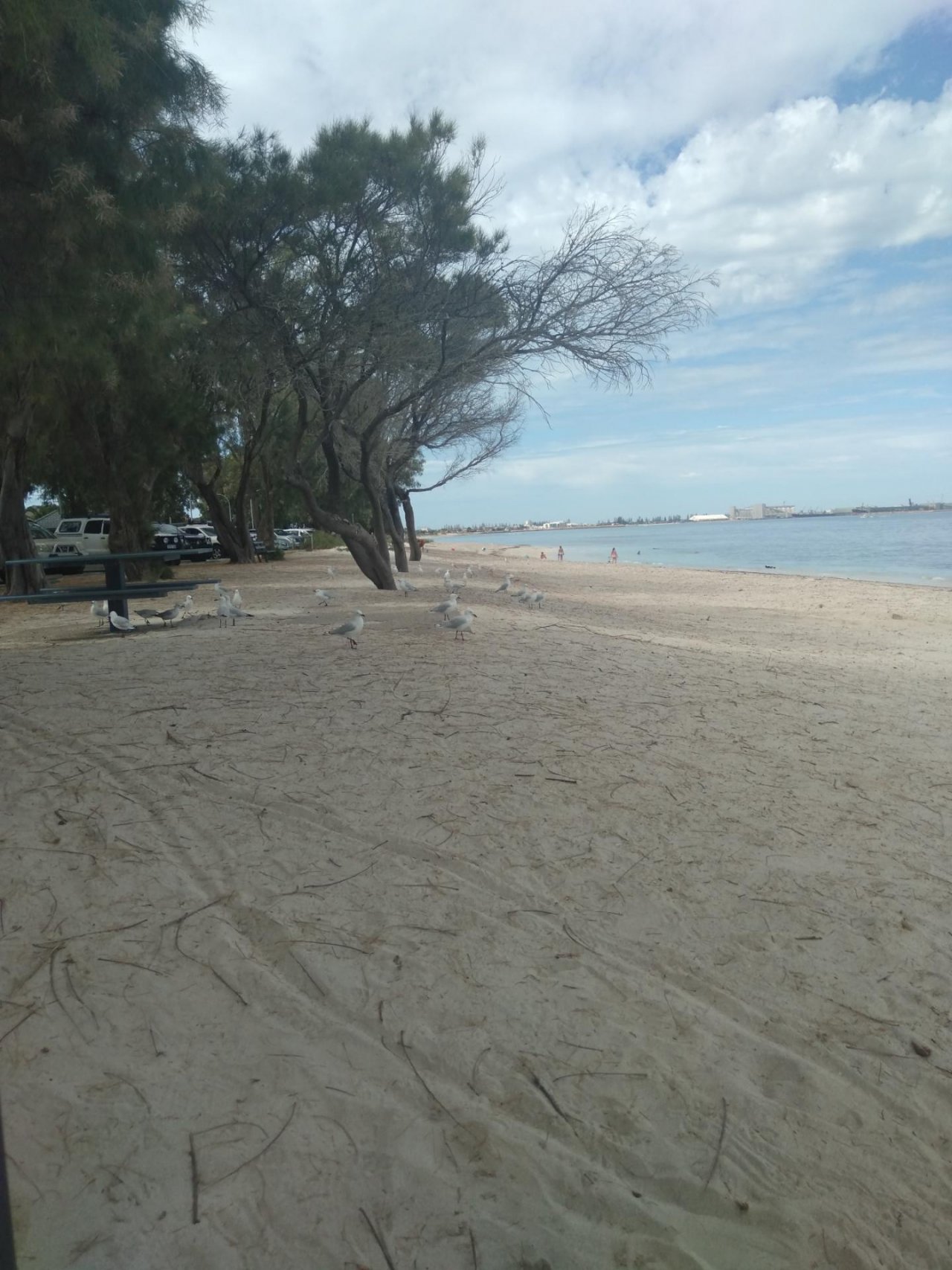 Other bird in ClimateWatch App spotted by Paul Sheriff on 13.02.2021