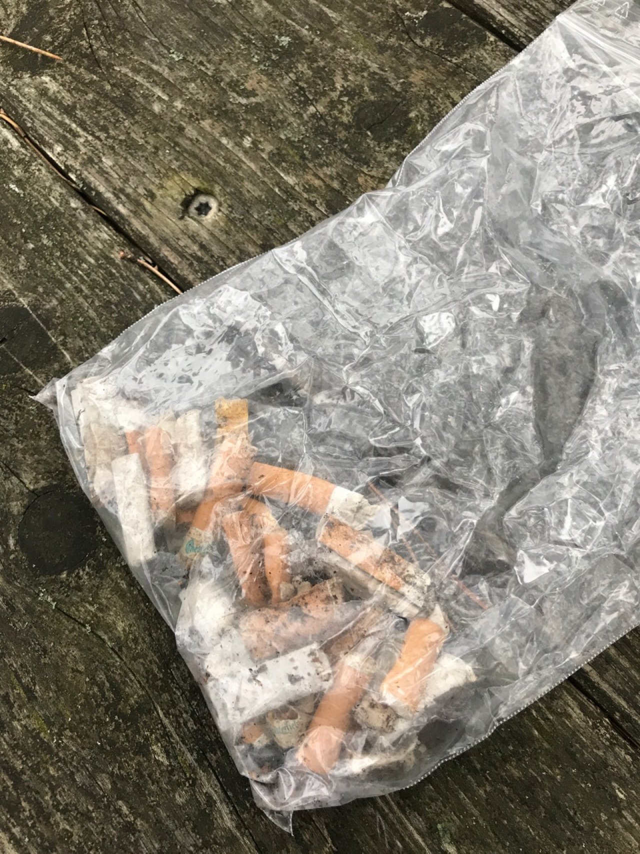 litter in DRECKSPOTZ | GLOBAL 2000 App spotted by Gabriele Kriz on 16.12.2020