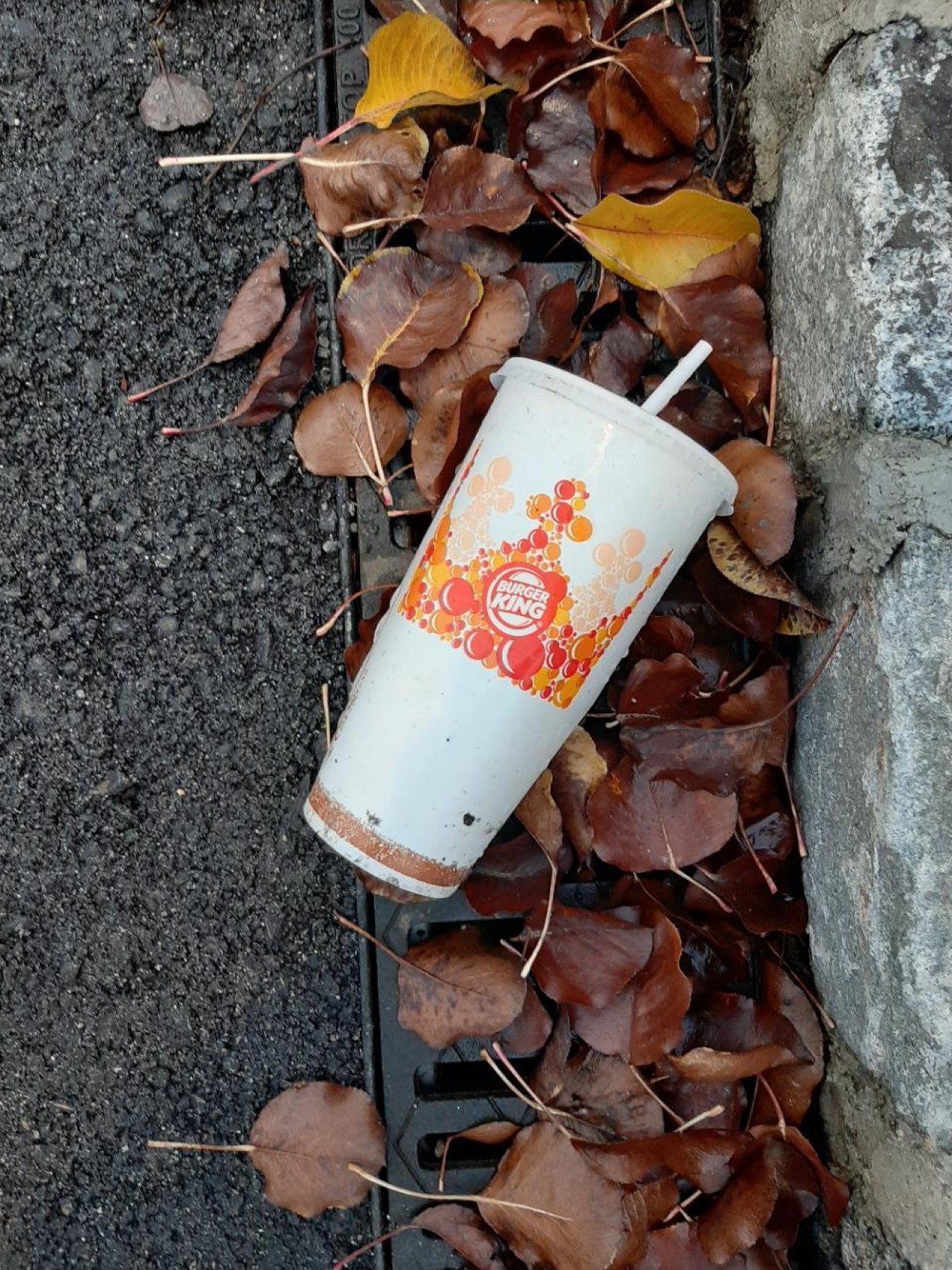 | DRECKSPOTZ | GLOBAL 2000 App | 09.12.2020