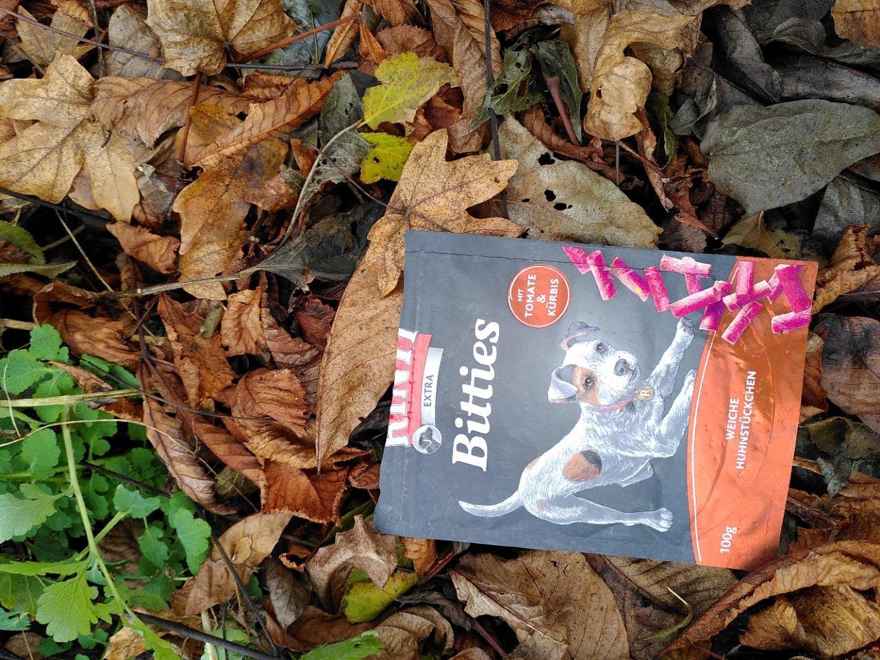 litter in DRECKSPOTZ | GLOBAL 2000 App spotted by TheOSWR on 13.12.2020