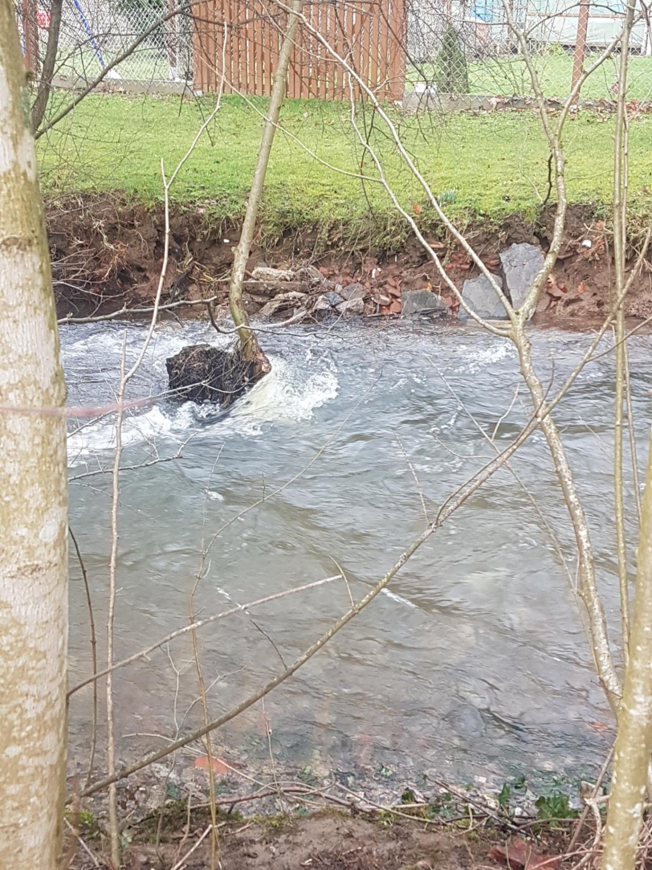 virtual scale in CrowdWater App spotted by Bergi on 05.02.2021