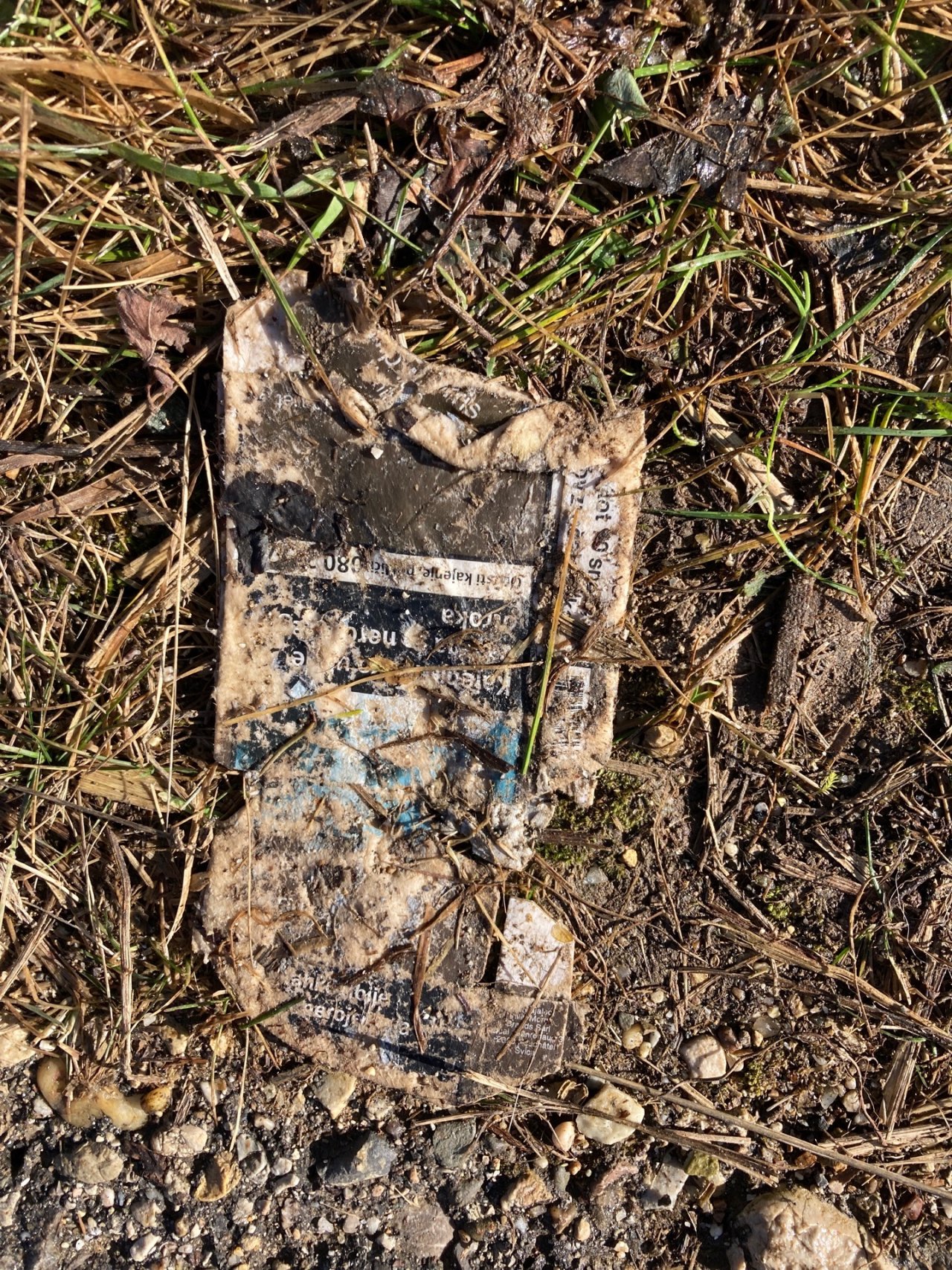 litter in DRECKSPOTZ | GLOBAL 2000 App spotted by MS Bleiburg, 3a, 4a, 4b on 04.02.2021