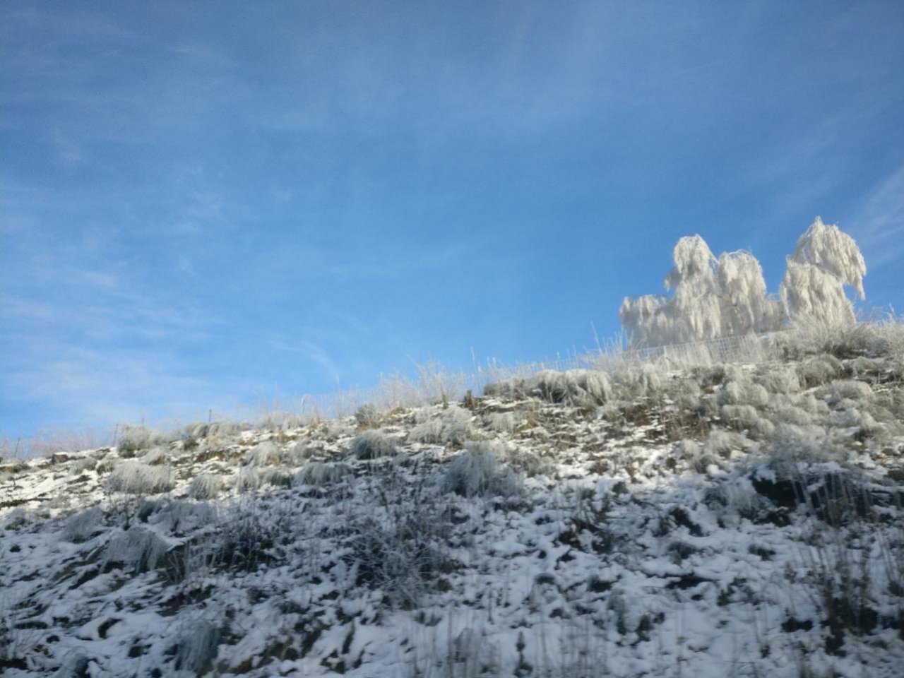 Reif in Naturkalender App spotted by Susi on 21.12.2020