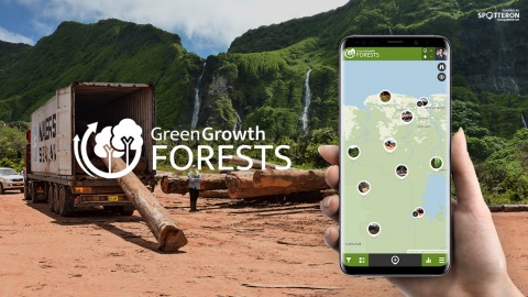 Green Growth Forests