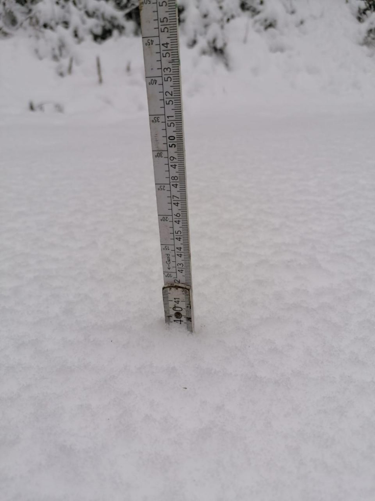 40 cm. Hatte es hier ewig nicht mehr. | Naturkalender App | 