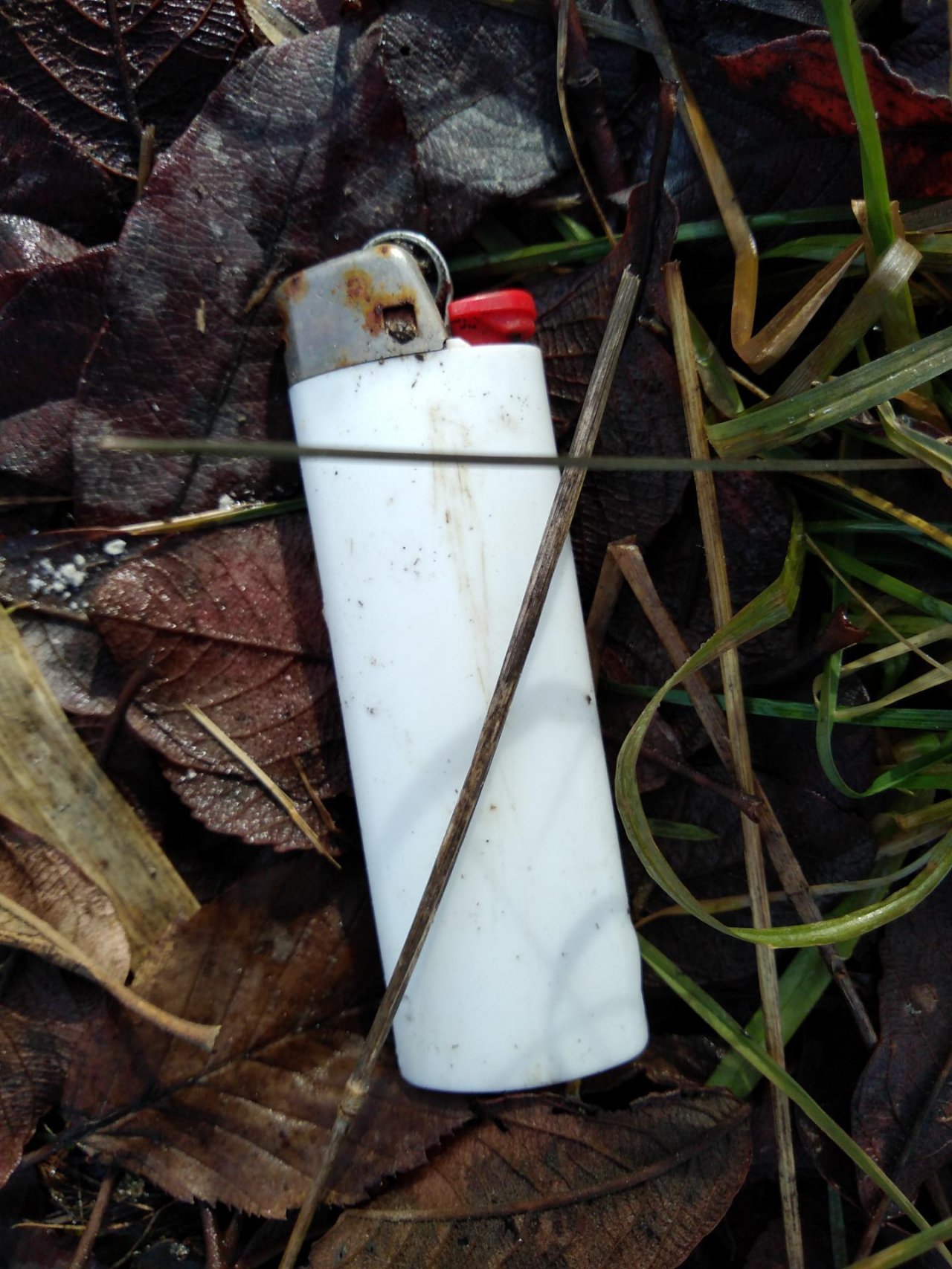 litter in DRECKSPOTZ | GLOBAL 2000 App spotted by Roland Bliem on 05.02.2021