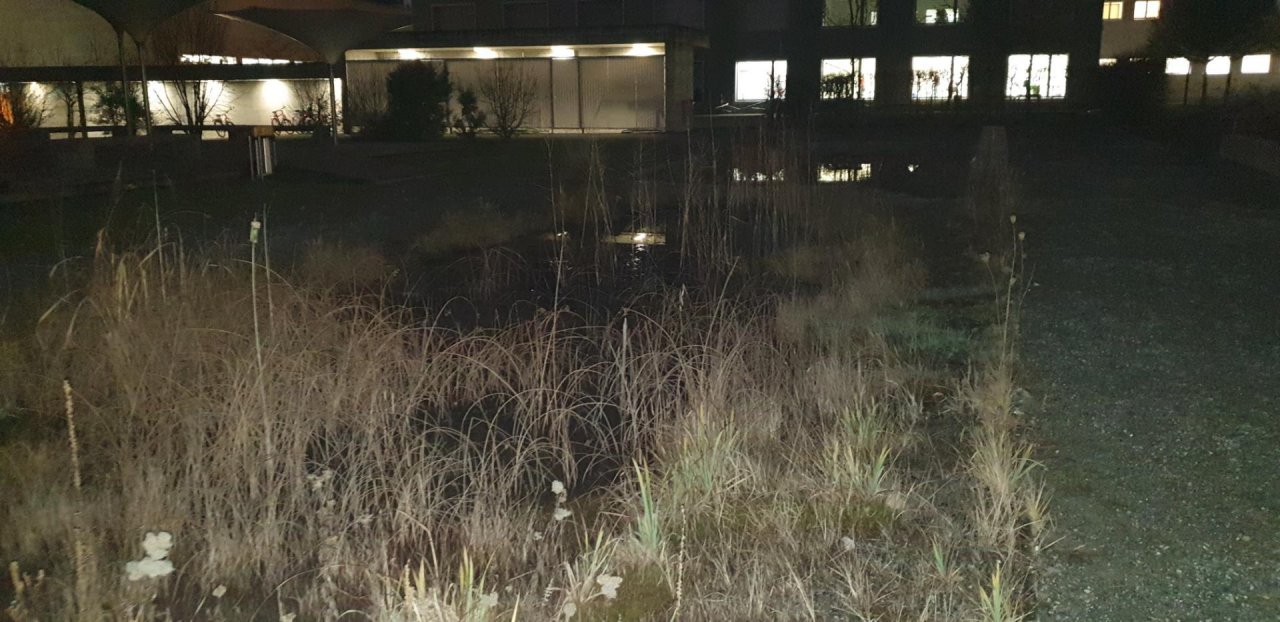 virtual scale in CrowdWater App spotted by Hentai Master on 14.12.2020